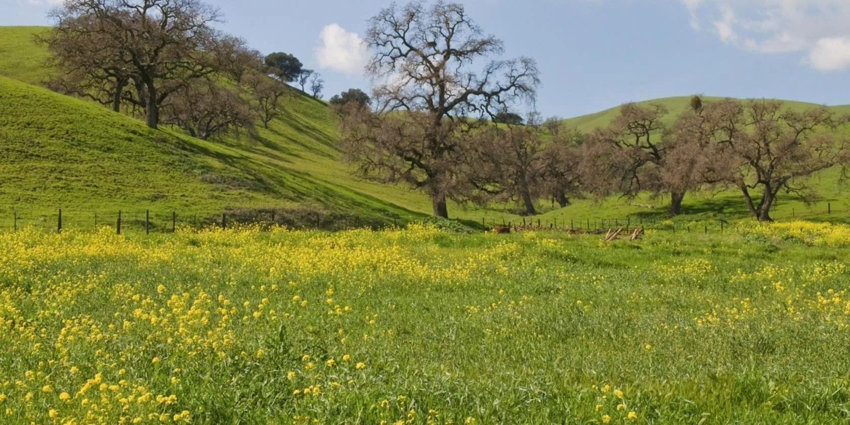 The 10 Best Gilroy Hotels (From $98)