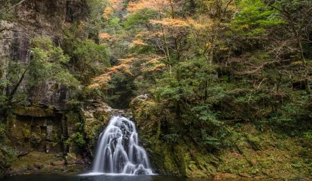 名張市の人気ホテル・旅館をお得に予約！