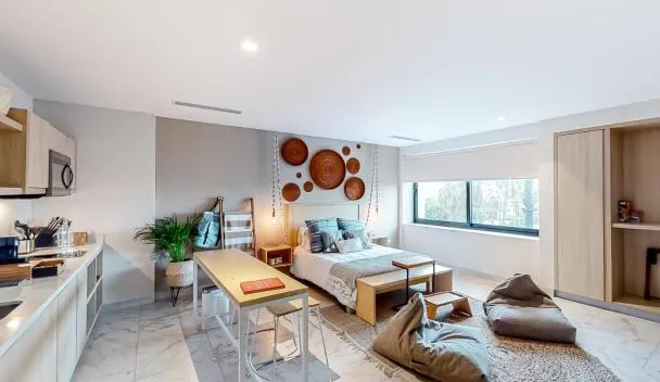 CS Downtown Loft CSL, Cabo San Lucas (precios actualizados en 2026)