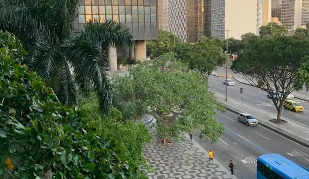 Rio Apê - Centro 2