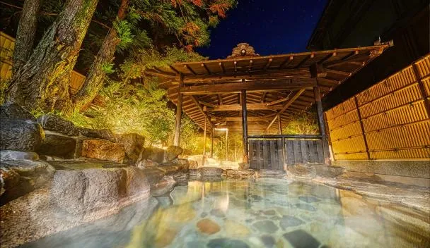 Ooedo Onsen Monogatari Terunoyu（真庭市）：（最新料金：2026年）