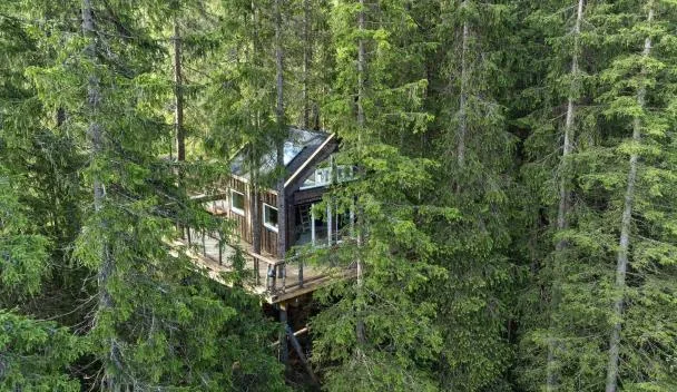 Unique Treetop Cabin In Forest, Lårdal, Høydalsmo (precios actualizados ...