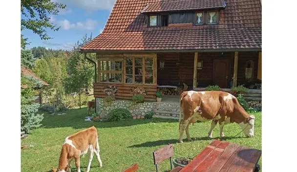 Mountain house, Mala Reka (updated prices 2026)