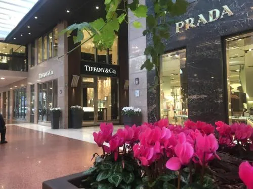 B&B Galleria Cavour photo 2