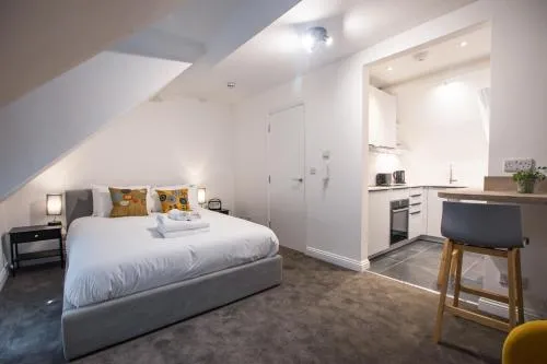 Bright & Beautiful Studio Flat in Bristol photo 2