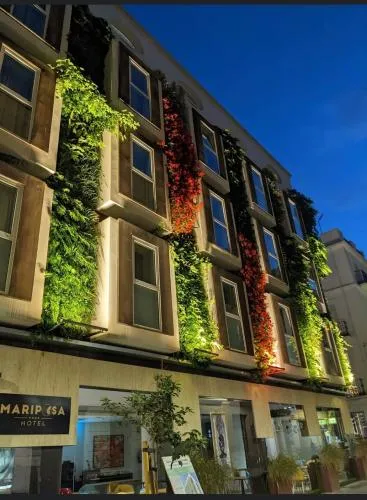 Mariposa Hotel Malaga photo 2