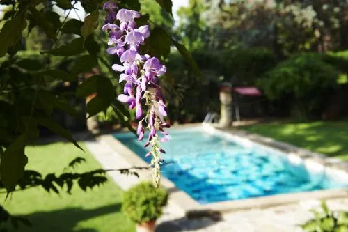 Park Palace Hotel photo 2