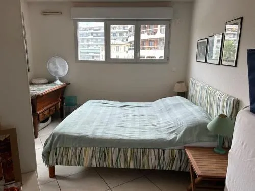 Appartement plein centre photo 2