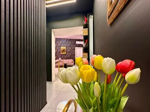 Elegance Rooms Spaccanapoli photo 2