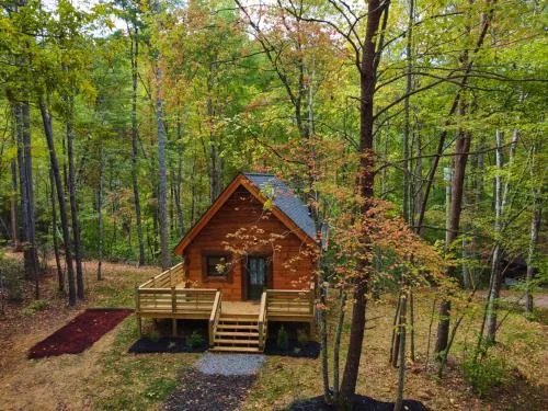 Emerald Forest! Romance, Luxury and nature mins to PF and GB photo 2