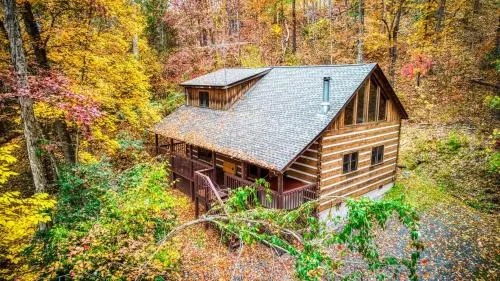 Bearly Livin by Avada Properties photo 2