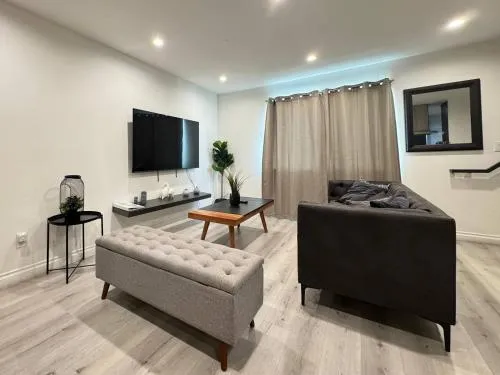 Hollywood Black Habitat photo 2