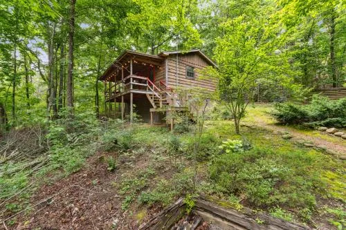 BEAR BOTTOMS Studio Twin Cabin HotTub TV Wifi photo 2