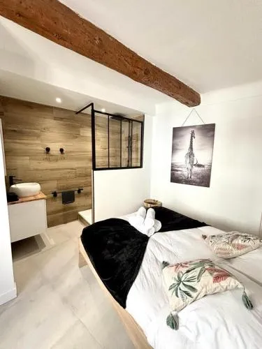 Les Halles Forville - Palais, plages, wifi, clim photo 2