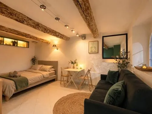 Studio Provencal de Charme Viel Antibes Centre photo 2