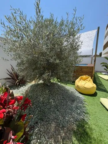 M4REE Seaside Suites & Relax photo 2