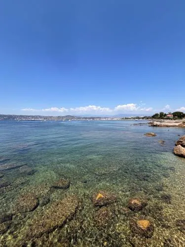 Le Pavillon du Cap d'Antibes photo 2