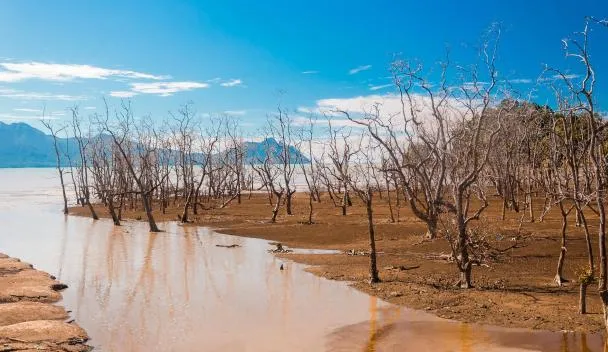 Bako National Park A Kuching: Tour E Visite Guidate - Foto 6