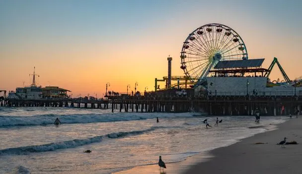 Sluts in Santa Monica