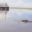 a alligator in the water with a boat in the background
