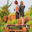 Dvě ženy stojící na střeše nákladního auta se slony