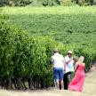 a group of people standing in front of a row of bushes