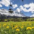 a ski lift with a field of flowers and a mountain
