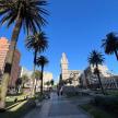 a city street with palm trees and a clock tower