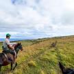 a man riding a horse in a field