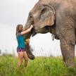 a young girl petting the trunk of an elephant