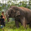 a boy and a girl standing next to an elephant