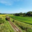 a train traveling down the tracks in a field