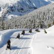 a group of people riding down a snow covered mountain