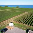 an aerial view of a vineyard with a farm house and cars