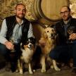 three men sitting next to two dogs with wine glasses