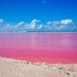 a large body of pink water on a beach