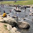 a group of people playing in a river with rocks