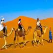 four people riding on camels in the desert