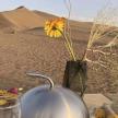 a table with a vase with a flower in the desert