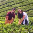 a man and a woman standing in a tea plantation