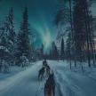 a group of people walking down a snow covered road