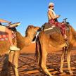 two people riding on camels in the desert
