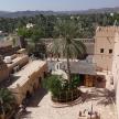 an aerial view of a village with palm trees and buildings