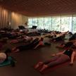a large group of people doing yoga in a room