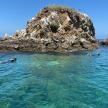 three people swimming in the water near a rocky island