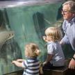 a man and a child looking at a shark in an aquarium