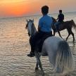 dva lidé jezdící na koních na pláži při západu slunce