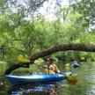 a woman in a kayak on a river under a tree