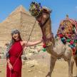 a woman standing next to a camel in front of the pyramids