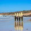 three people standing on the beach with their surfboards
